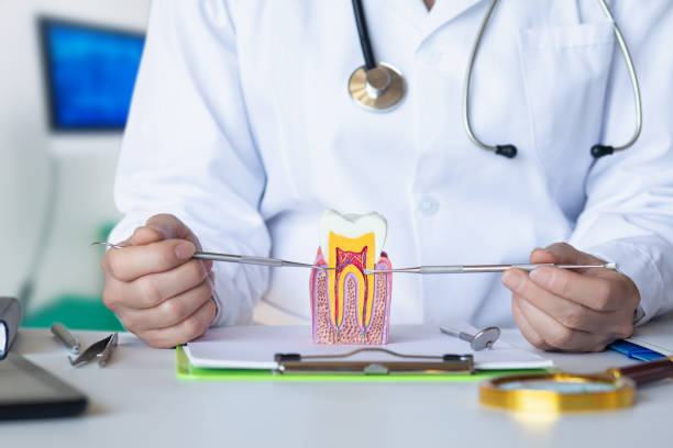 Best Tooth Infection Emergency Dentist  in Holcom, KS